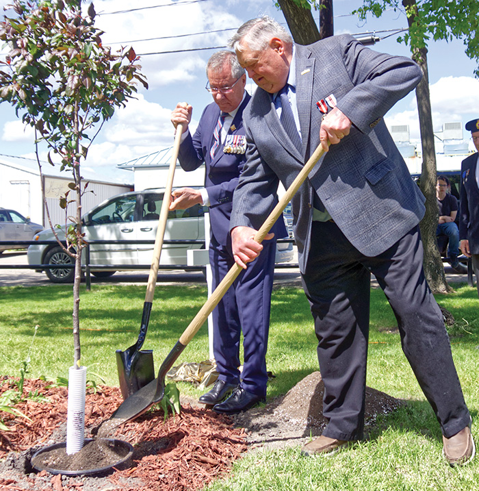 Lieutenant Governor of Saskatchewan Russell Mirasty (left) and Moosomin Mayor Larry Tomlinson plant a tree on the cenotaph grounds, marking the historic moment for future generations to also enjoy.<br />
